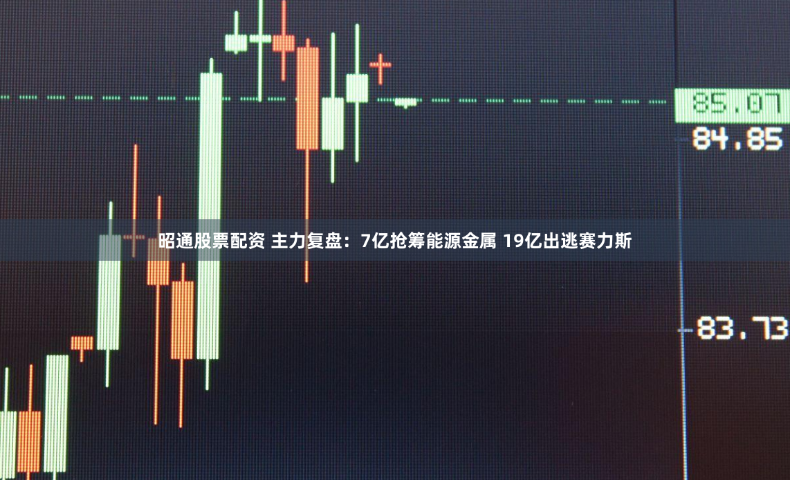 昭通股票配资 主力复盘：7亿抢筹能源金属 19亿出逃赛力斯