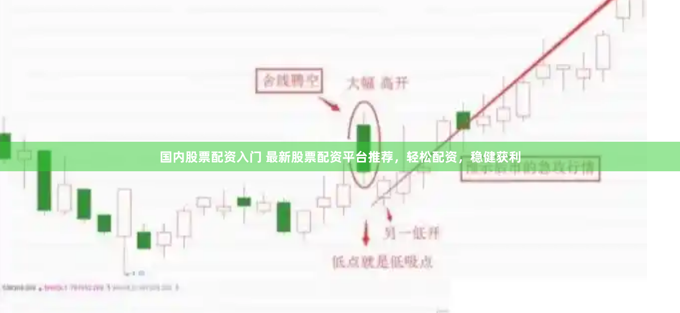 国内股票配资入门 最新股票配资平台推荐，轻松配资，稳健获利