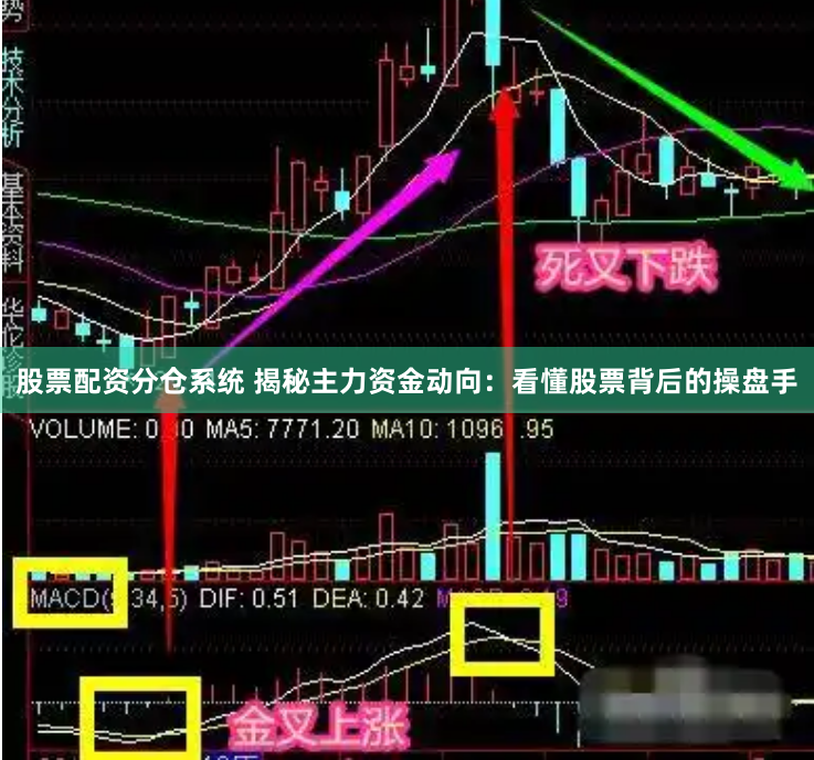 股票配资分仓系统 揭秘主力资金动向：看懂股票背后的操盘手