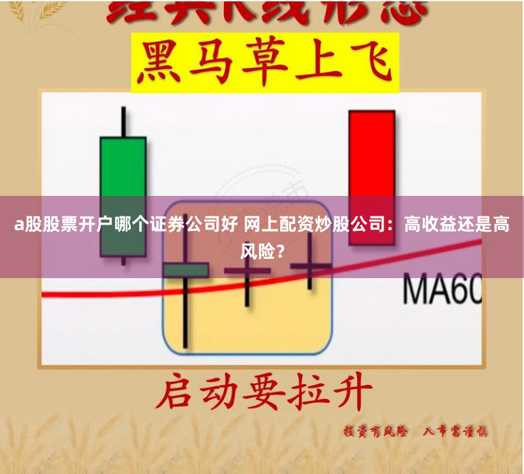 a股股票开户哪个证券公司好 网上配资炒股公司:高收益还是高风险?