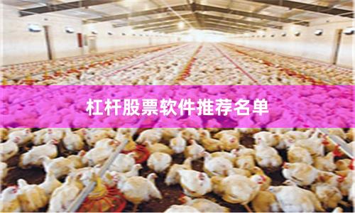 杠杆股票软件推荐名单